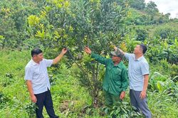 Tái cơ cấu nông nghiệp, kiến tạo nông thôn mới hiện đại