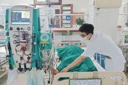 Ăn mật cá trắm, cụ ông suýt mất mạng phải lọc máu