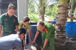 An Giang: Đồn Biên phòng Xẻo Nhàu và người dân thả cá thể vích về biển