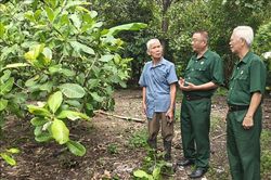 Tỏa sáng phẩm chất cao đẹp của Bộ đội Cụ Hồ trong thời bình