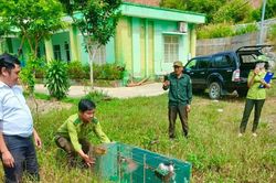 Thả động vật hoang dã về tự nhiên