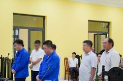 Nhiều cựu cán bộ Chi cục Thủy sản Cà Mau lĩnh án vì tội nhận hối lộ