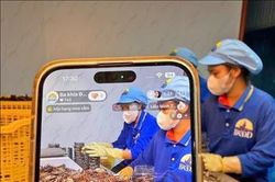 C&agrave; Mau: Đặt kỳ vọng v&agrave;o chuyển đổi số để th&uacute;c đẩy tăng trưởng