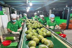 Đưa n&ocirc;ng sản Việt vươn xa - B&agrave;i 2: Chuyển đổi số v&agrave; chuyển đổi xanh tạo sức bật mới