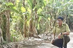 Thả khỉ đuôi dài quý hiếm về Vườn Quốc gia U Minh Hạ