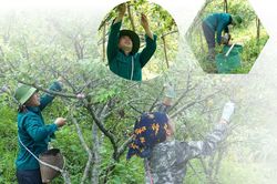 Hỗ trợ đoàn viên, thanh niên phát triển kinh tế