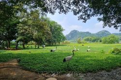LHQ th&uacute;c đẩy nỗ lực bảo vệ đa dạng sinh học to&agrave;n cầu