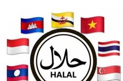 ASEAN tăng tốc xây dựng trung tâm Halal toàn cầu, ai đang giữ vai trò dẫn dắt?
