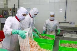 Hiệu quả thực thi 6 năm Hiệp định thương mại tự do Việt Nam - EU