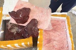 Xử phạt và tiêu hủy 148 kg sản phẩm động vật không rõ nguồn gốc