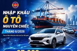 Ô tô nguyên chiếc nhập khẩu tăng gần 8%, xe tải bứt tốc