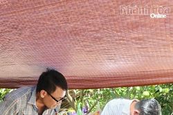 Tập trung dập dịch sốt xuất huyết ở khu vực Kh&aacute;nh Vĩnh