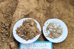 Đ&agrave; Nẵng t&igrave;m thấy 3 h&agrave;i cốt liệt sĩ, nghi thuộc lực lượng đặc c&ocirc;ng