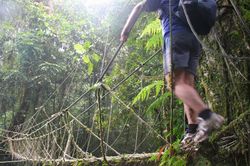 Số vụ tai nạn tăng cao, Malaysia siết hoạt động hiking