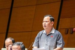 Cắt giảm điều kiện kinh doanh phải mang lại lợi ích thực chất cho doanh nghiệp