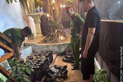 Cơ sở kinh doanh qu&aacute;n bar t&agrave;ng trữ gần 100 b&igrave;nh kh&iacute; N₂O, nhiều h&oacute;a đơn li&ecirc;n quan 'b&oacute;ng cười'