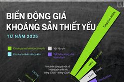 Giá các loại khoáng sản quan trọng thay đổi thế nào trong hơn 1 năm qua?