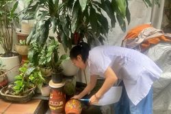 Sốt xuất huyết gia tăng tại Hà Nội, phát hiện hàng nghìn ổ bọ gậy ở khu dân cư
