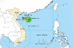 Thời tiết ngày 8/8: Áp thấp nhiệt đới gây biển động mạnh, Trung Bộ và Nam Bộ có mưa dông