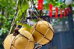 Thoảng hương thị trong gió thu