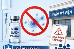 Cảnh báo từ Sở Y tế Hà Nội về các cơ sở thẩm mỹ sử dụng tế bào gốc trái phép