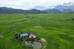 Mùa xanh trên cánh đồng Mường Than