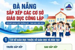 Đ&agrave; Nẵng sắp xếp cơ sở gi&aacute;o dục c&ocirc;ng lập, giảm 524 sơ sở