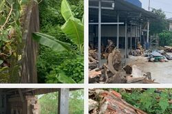 Công an TP. Hà Nội phục hồi điều tra vụ tố giác hủy hoại tài sản tại Detesco Việt Nam