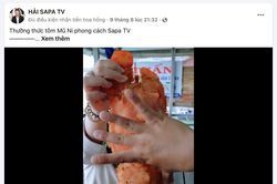 Hải Sapa TV bất ngờ xóa sạch clip 'hổ báo', chăm chỉ lên clip đi chợ - nấu ăn
