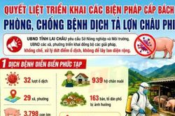 Quyết liệt triển khai c&aacute;c biện ph&aacute;p cấp b&aacute;ch ph&ograve;ng, chống bệnh dịch tả lợn ch&acirc;u Phi