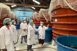 Cục ĐCK kiểm tra đánh giá hiệu quả các đề án khuyến công quốc gia tại An Giang Cục ĐCK kiểm tra đánh giá hiệu quả các đề án khuyến công quốc gia tại An Giang