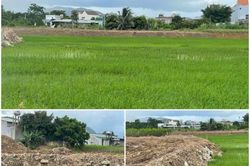 UBND tỉnh Lâm Đồng chỉ đạo kiểm tra thông tin phản ánh về thực trạng quản lý đất lúa bị san lấp tại xã Đam Rông 3