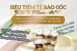 H&agrave; Nội: Phạt tiền 267 triệu đồng, tước giấy ph&eacute;p hoạt động cơ sở thẩm mỹ tư vấn truyền tế b&agrave;o gốc' kh&ocirc;ng ph&eacute;p