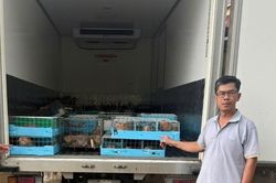Buôn lậu động vật hoang dã