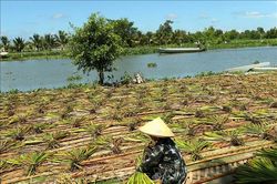 Nền tảng thích ứng với biến đổi khí hậu - Bài cuối: Khi thích ứng trở thành chủ động