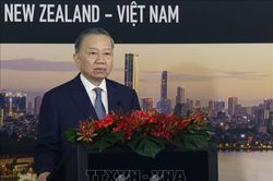 Tổng Bí thư, Chủ tịch nước Tô Lâm dự Hội nghị bàn tròn doanh nghiệp New Zealand - Việt Nam