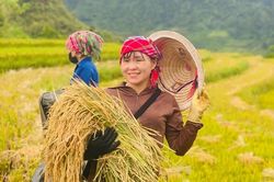 Sơn Lương rộn ràng chuẩn bị Lễ hội Mừng cơm mới