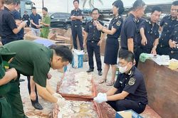 Phát hiện hơn 1.193 kg ngà voi và 79,3 kg xương động vật hoang dã từ châu Phi