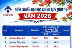 Đại học Huế r&agrave; so&aacute;t v&agrave; xử l&yacute; việc sử dụng chứng chỉ ngoại ngữ trong kỳ x&eacute;t tuyển đại học ch&iacute;nh quy năm 2026
