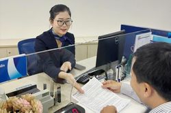 Doanh nghiệp có thể vay vốn ngân hàng mua tín chỉ carbon?