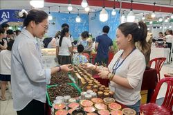 Đà Nẵng: Xây dựng năng lực xuất khẩu trực tuyến