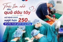 Trái tim nhỏ như quả dâu tây, vượt 250 km tìm cơ hội sống