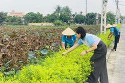Lan tỏa phong trào xây dựng khu dân cư “Sáng - xanh - sạch - đẹp - an toàn”