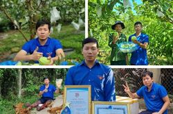 Ngày làm kỹ sư, tối giao hàng: Chàng trai Sán Dìu làm đủ việc lo cho bố mẹ, em gái