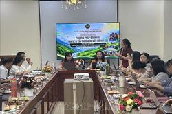 Th&iacute;ch ứng với biến đổi kh&iacute; hậu trong quy hoạch đ&ocirc; thị, v&ugrave;ng d&acirc;n cư