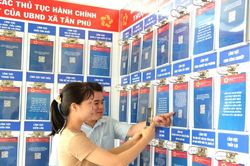 Đồng Tháp: Đẩy mạnh Phong trào 'Bình dân học vụ số' giai đoạn 2026 – 2030