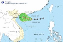 &Aacute;p thấp nhiệt đới tr&ecirc;n Biển Đ&ocirc;ng g&acirc;y mưa d&ocirc;ng, biển động mạnh