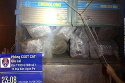 Gia Lai: Tạm giữ xe tải chở hơn 12m3 gỗ không có giấy tờ