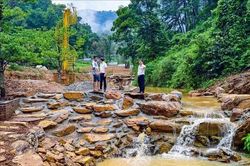 Hà Nội yêu cầu xử lý dứt điểm vi phạm tại rừng phòng hộ Sóc Sơn trước 5/9