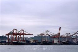 Hàn Quốc vận hành thử nghiệm tàu container trên tuyến đường biển Bắc Cực